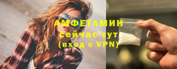 дмт Костерёво