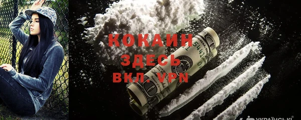 дмт Костерёво