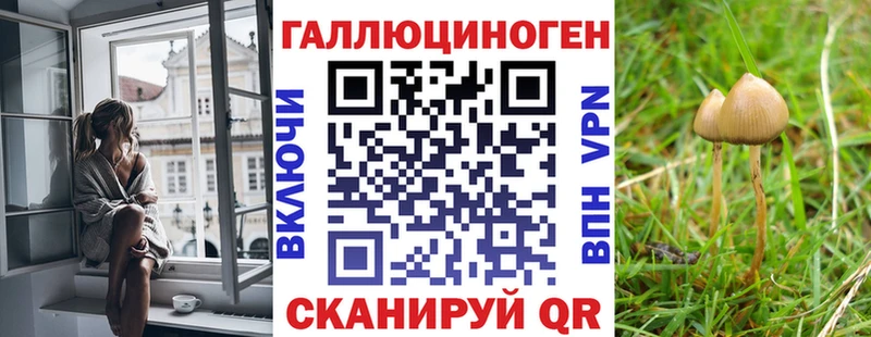 Псилоцибиновые грибы прущие грибы  Старый Крым 